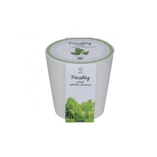 jardin-urbain-Trousse-Persil-agridiver