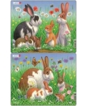 Puzzle Lapin